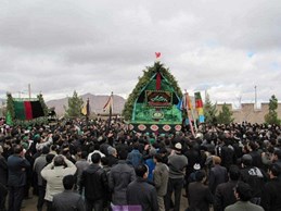 محل تولد استاد در یک نگاه