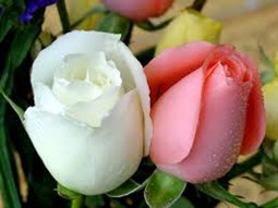 شرح ماجراي ازدواج حضرت  علي(ع) و فاطمه(س) از زبان امام رضا(ع